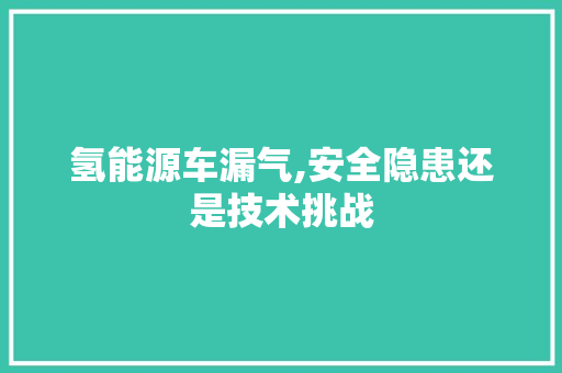 氢能源车漏气,安全隐患还是技术挑战