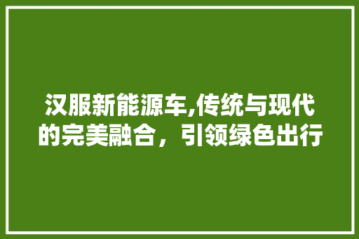 汉服新能源车,传统与现代的完美融合，引领绿色出行新潮流