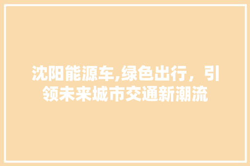 沈阳能源车,绿色出行，引领未来城市交通新潮流