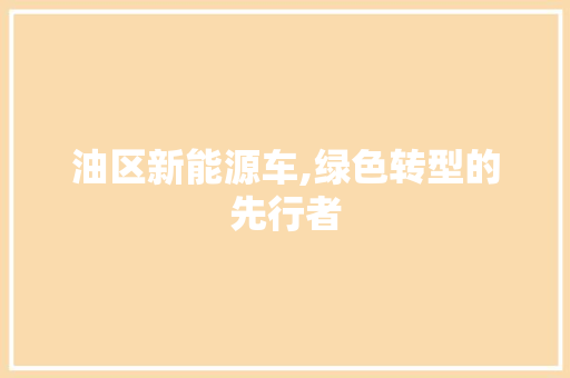 油区新能源车,绿色转型的先行者