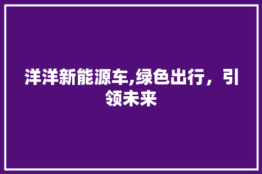 洋洋新能源车,绿色出行，引领未来