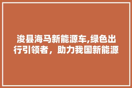 浚县海马新能源车,绿色出行引领者，助力我国新能源产业发展 底盘配件