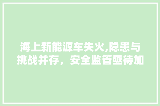 海上新能源车失火,隐患与挑战并存，安全监管亟待加强