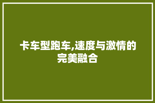 卡车型跑车,速度与激情的完美融合
