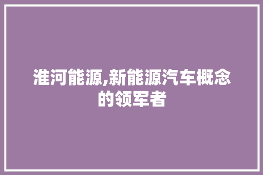 淮河能源,新能源汽车概念的领军者