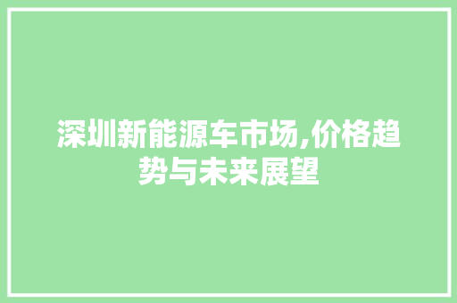 深圳新能源车市场,价格趋势与未来展望 车身配件