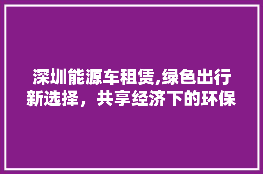 深圳能源车租赁,绿色出行新选择，共享经济下的环保先锋