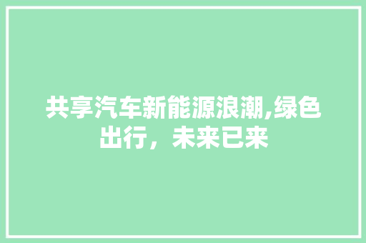 共享汽车新能源浪潮,绿色出行，未来已来