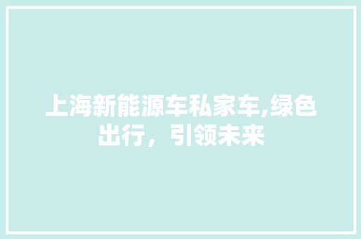 上海新能源车私家车,绿色出行，引领未来