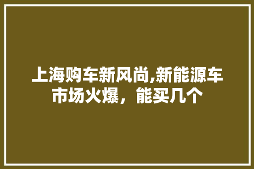 上海购车新风尚,新能源车市场火爆，能买几个