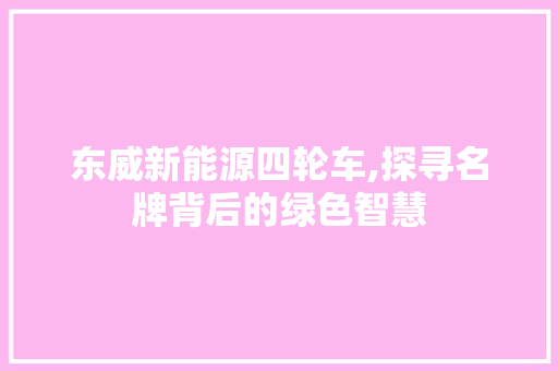东威新能源四轮车,探寻名牌背后的绿色智慧
