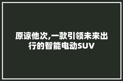 原谅他次,一款引领未来出行的智能电动SUV