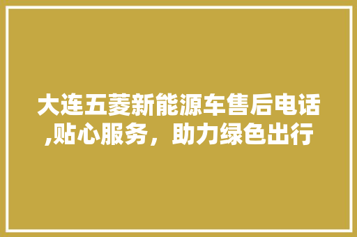 大连五菱新能源车售后电话,贴心服务，助力绿色出行