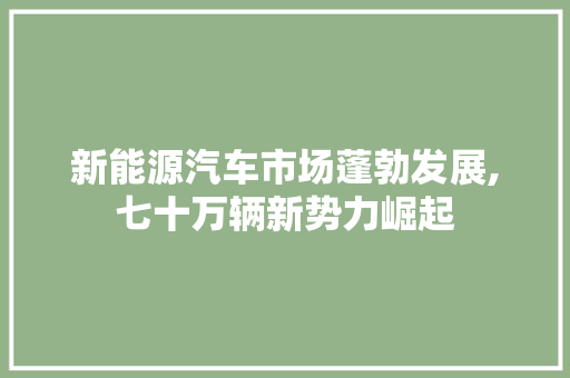 新能源汽车市场蓬勃发展,七十万辆新势力崛起 底盘配件
