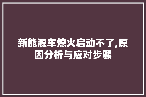 新能源车熄火启动不了,原因分析与应对步骤