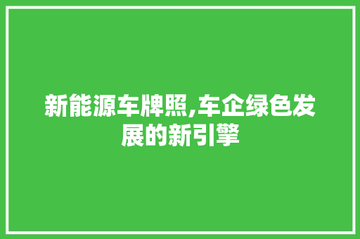 新能源车牌照,车企绿色发展的新引擎