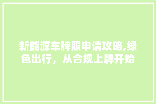新能源车牌照申请攻略,绿色出行，从合规上牌开始