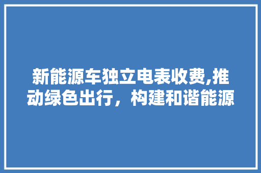 新能源车独立电表收费,推动绿色出行，构建和谐能源体系