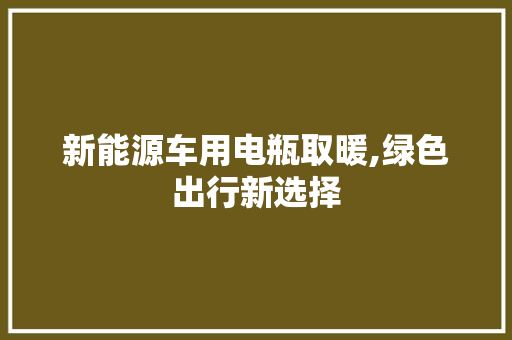 新能源车用电瓶取暖,绿色出行新选择