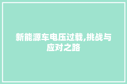 新能源车电压过载,挑战与应对之路