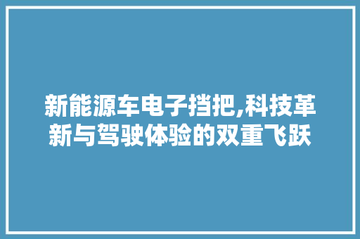 新能源车电子挡把,科技革新与驾驶体验的双重飞跃