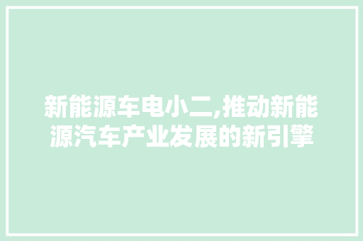 新能源车电小二,推动新能源汽车产业发展的新引擎