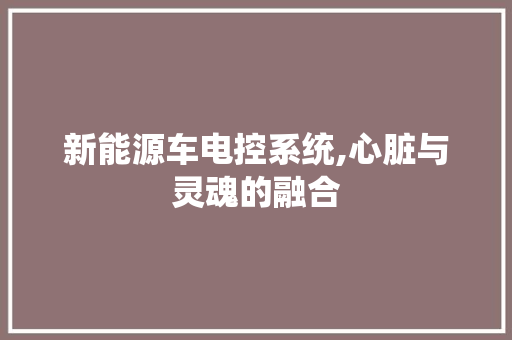 新能源车电控系统,心脏与灵魂的融合