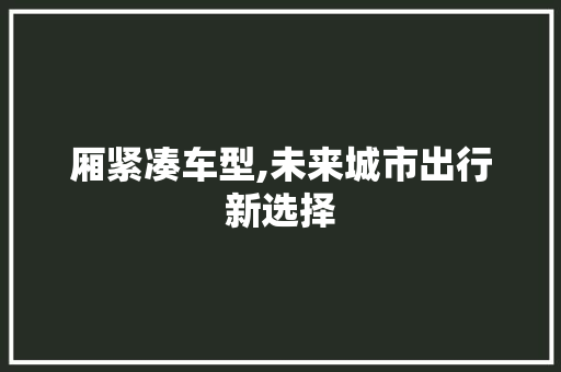 厢紧凑车型,未来城市出行新选择