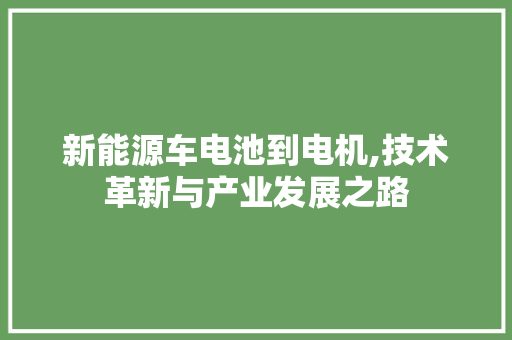 新能源车电池到电机,技术革新与产业发展之路