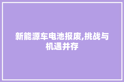 新能源车电池报废,挑战与机遇并存