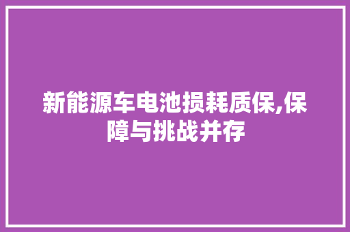 新能源车电池损耗质保,保障与挑战并存