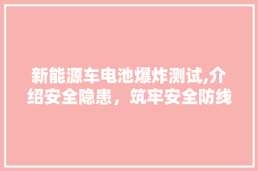 新能源车电池爆炸测试,介绍安全隐患，筑牢安全防线