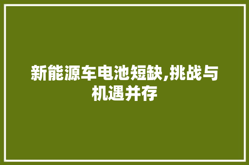 新能源车电池短缺,挑战与机遇并存