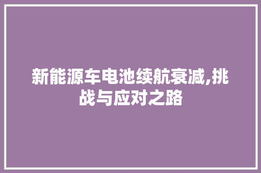 新能源车电池续航衰减,挑战与应对之路