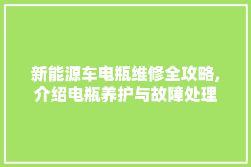 新能源车电瓶维修全攻略,介绍电瓶养护与故障处理