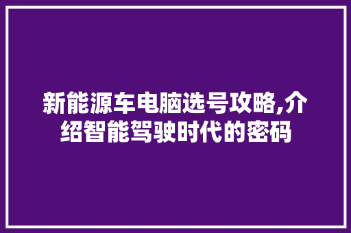 新能源车电脑选号攻略,介绍智能驾驶时代的密码