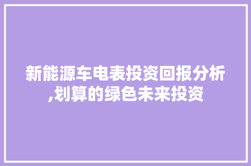 新能源车电表投资回报分析,划算的绿色未来投资