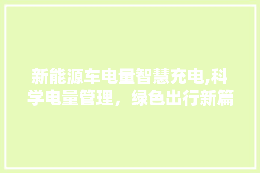 新能源车电量智慧充电,科学电量管理，绿色出行新篇章