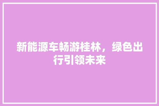 新能源车畅游桂林，绿色出行引领未来