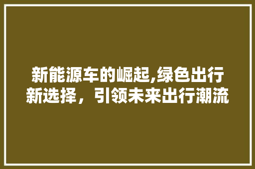 新能源车的崛起,绿色出行新选择，引领未来出行潮流