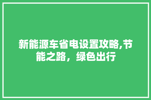 新能源车省电设置攻略,节能之路，绿色出行