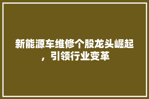 新能源车维修个股龙头崛起，引领行业变革