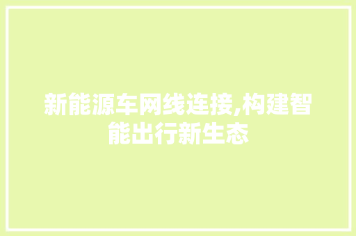 新能源车网线连接,构建智能出行新生态 新能源汽车