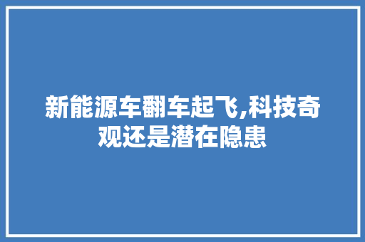 新能源车翻车起飞,科技奇观还是潜在隐患