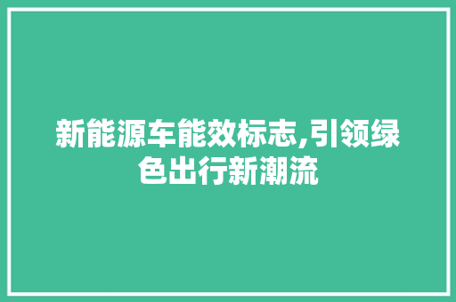 新能源车能效标志,引领绿色出行新潮流