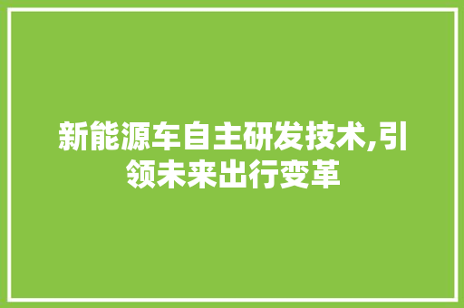 新能源车自主研发技术,引领未来出行变革 蓄电池配件