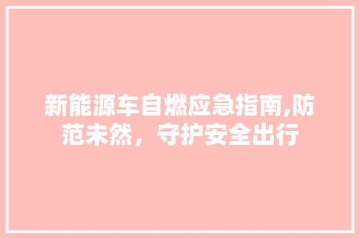 新能源车自燃应急指南,防范未然，守护安全出行