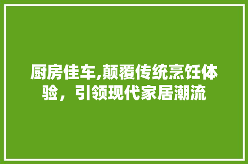 厨房佳车,颠覆传统烹饪体验，引领现代家居潮流