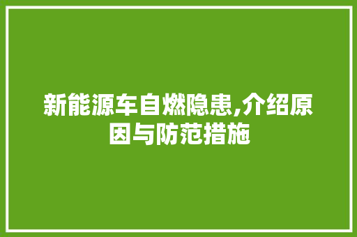 新能源车自燃隐患,介绍原因与防范措施