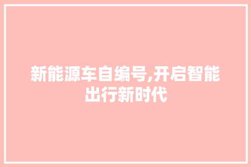 新能源车自编号,开启智能出行新时代